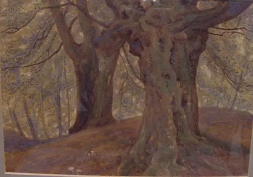 Burnham Beeches, by Thomas Charles Farrer