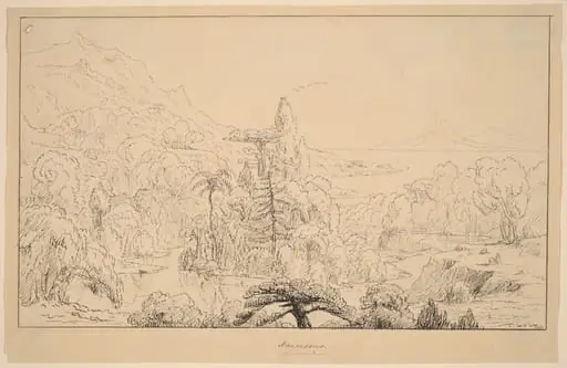 Narcissus [recto], by Thomas Cole