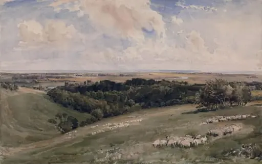 Arundel Park, Sussex, by Thomas Collier