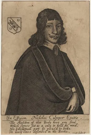 Nicholai Culpeper, Equitus, by Thomas Cross
