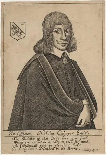 Nicholai Culpeper, Equitus, by Thomas Cross