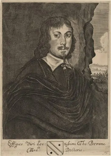 Tho. Browne, Med. Doctoris (Sir Thomas Browne, M.D.), by Thomas Cross