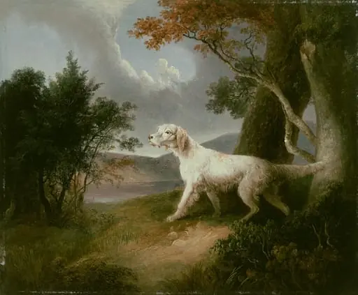 Landscape with Dog, by Thomas Doughty