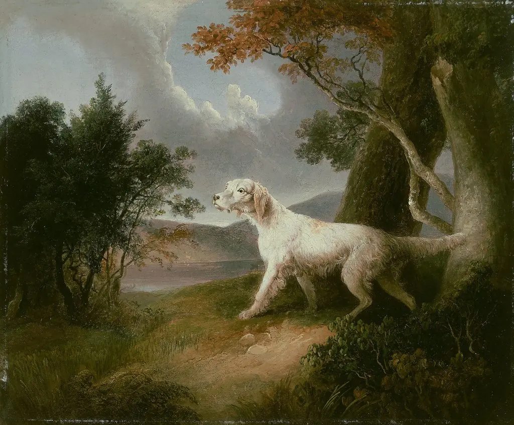 Landscape with Dog, by Thomas Doughty