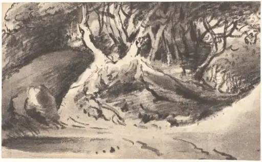 Wooded Landscape, by Thomas, Dr. Monro