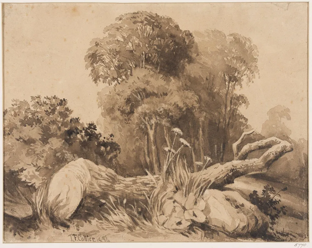 A Tree Cut Down, by Thomas Frederick Collier, watercolor, 1864