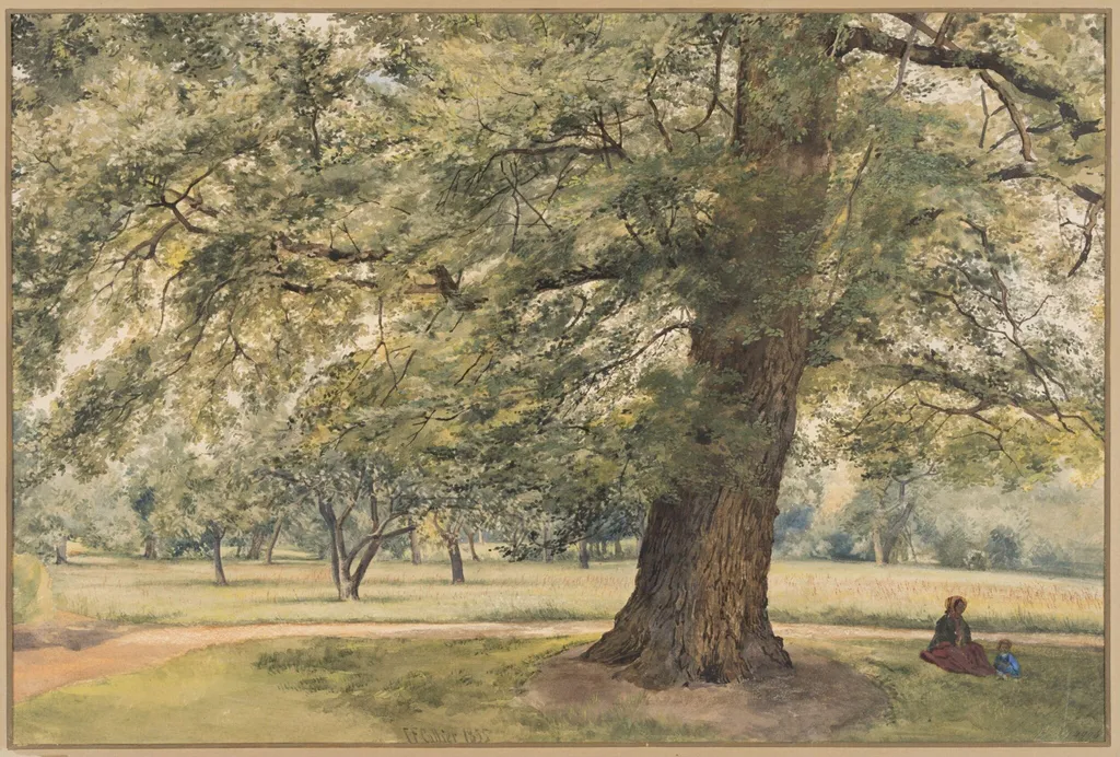 Study of an Elm Tree, by Thomas Frederick Collier, watercolor, 1864