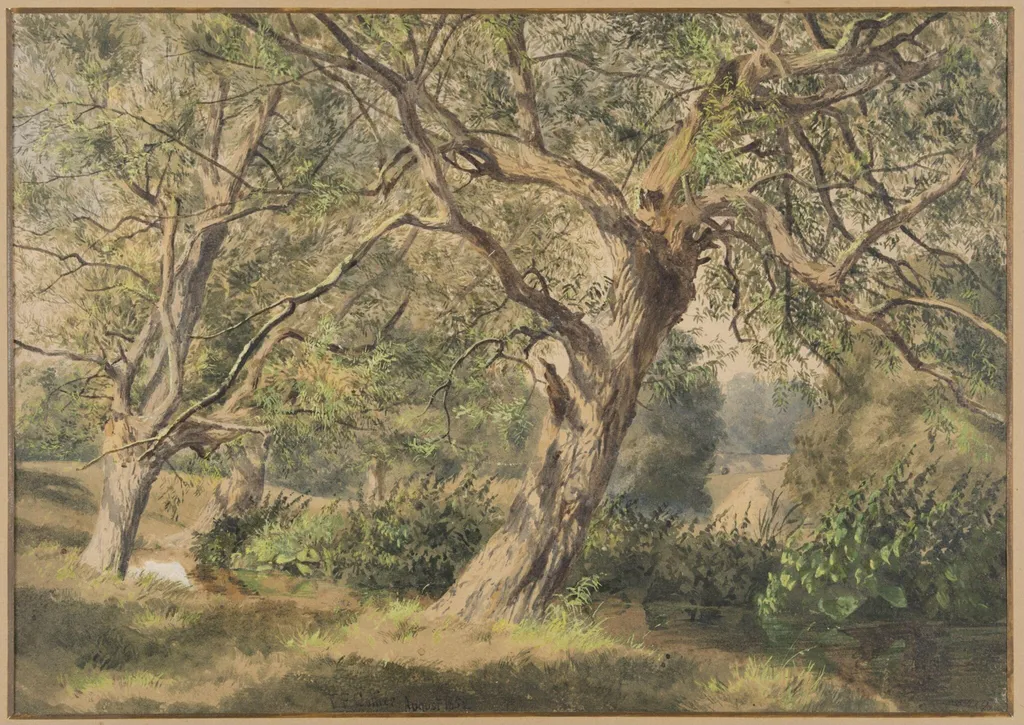 Study of Trees, 1852, by Thomas Frederick Collier, watercolor, 1852