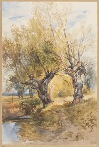 Untitled, by Thomas Frederick Collier