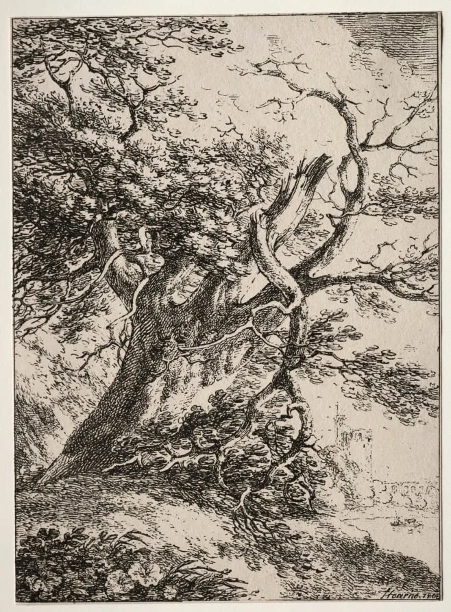 Specimens of Polyautography: Landscape with an Oak Tree, by Thomas Hearne, 1803