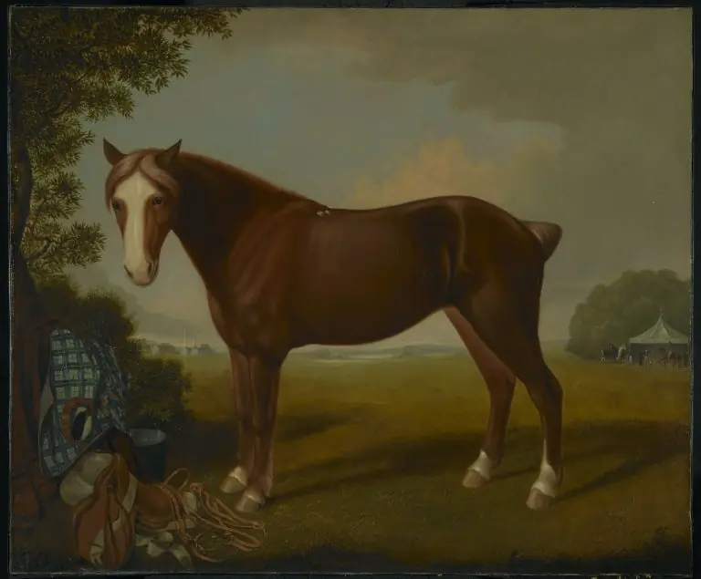 Portrait of a Horse, by Thomas Hewes Hinckley
