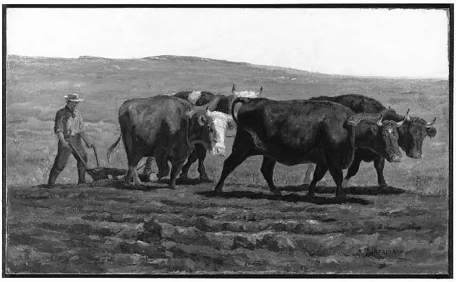 Oxen Plowing, by Thomas R. Robinson