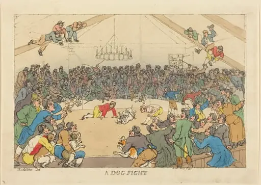 A Dog Fight, by Thomas Rowlandson