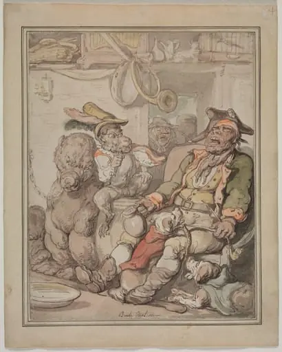 Comparative Anatomy Study, by Thomas Rowlandson