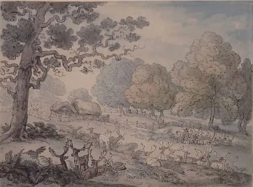Deer Park, Richmond, by Thomas Rowlandson