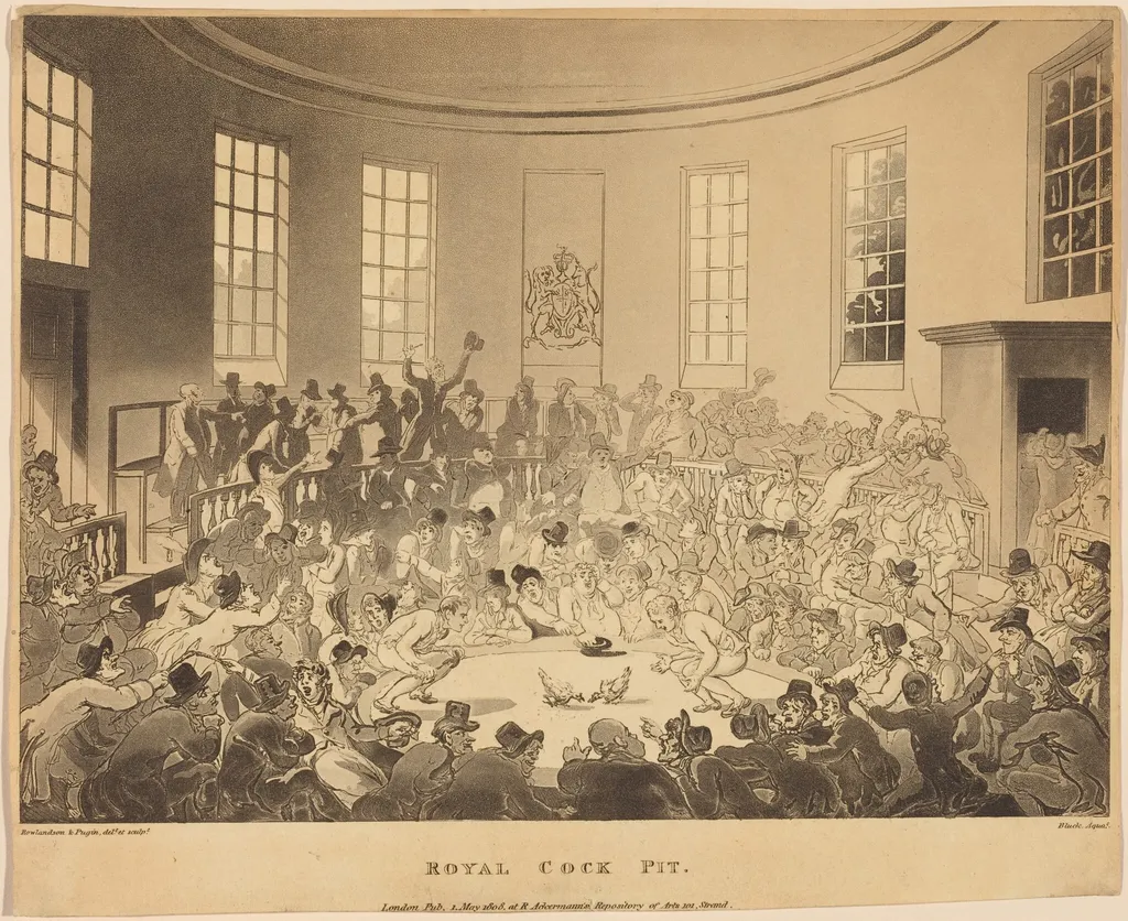 Royal Cock Pit, by Thomas Rowlandson, ink, 1808