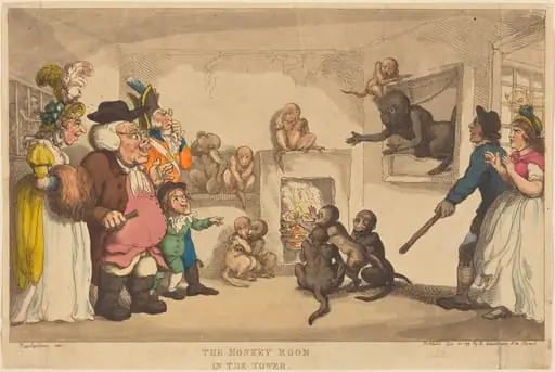 The Monkey Room in the Tower, by Thomas Rowlandson