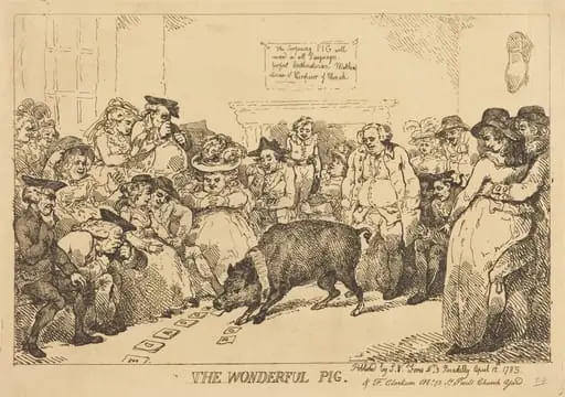 The Wonderful Pig, by Thomas Rowlandson