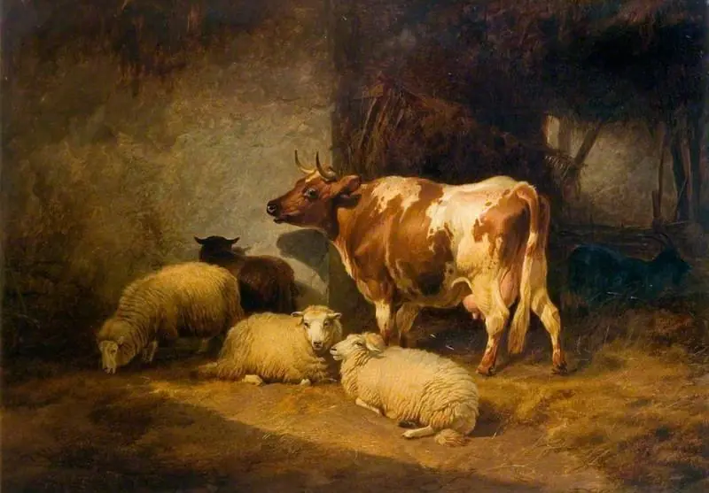 A Cow and Sheep, by Thomas Sidney Cooper
