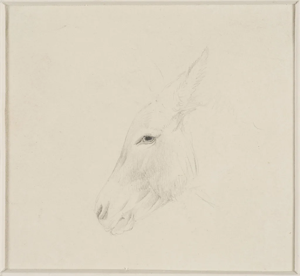 Head of a donkey, by Thomas Sidney Cooper, 1850