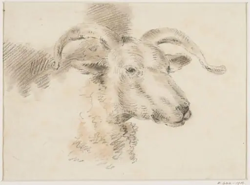 Head of a sheep, by Thomas Sidney Cooper