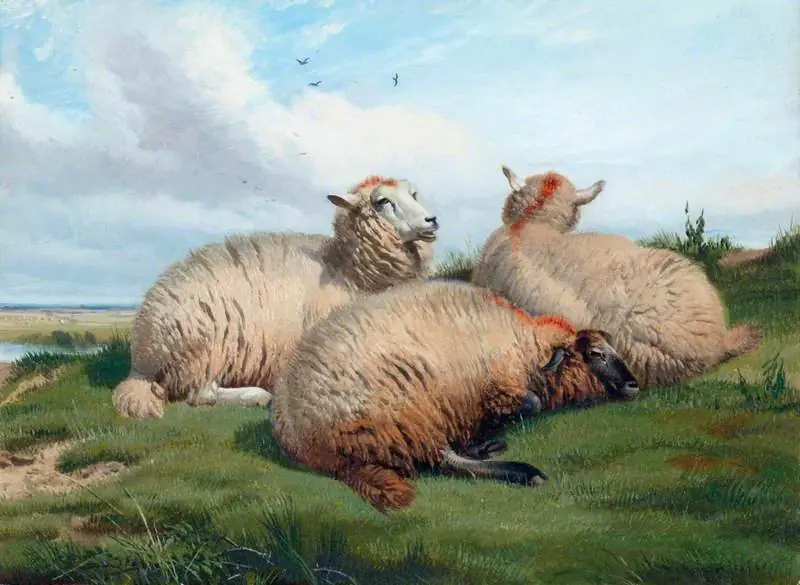 Sheep, by Thomas Sidney Cooper