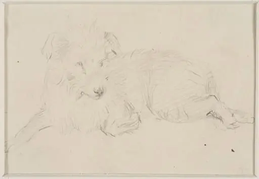 Sketch of a dog, by Thomas Sidney Cooper