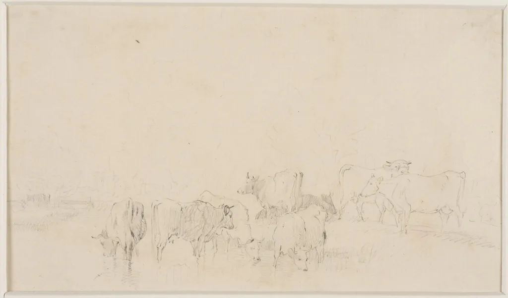 Sketch of cattle, by Thomas Sidney Cooper, 1850