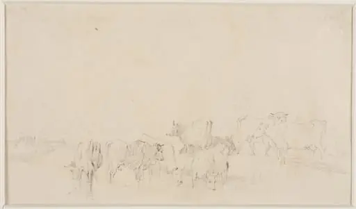 Sketch of cattle, by Thomas Sidney Cooper