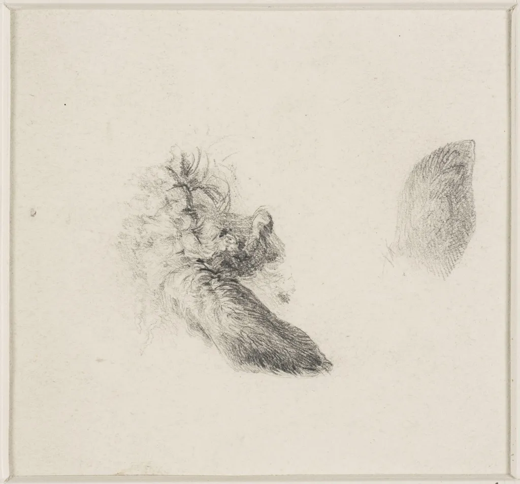 Studies of animals' ears, by Thomas Sidney Cooper, 1850