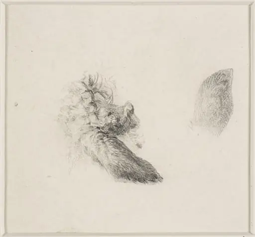 Studies of animals' ears, by Thomas Sidney Cooper