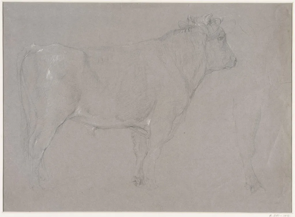Study of a bull, by Thomas Sidney Cooper, 1850