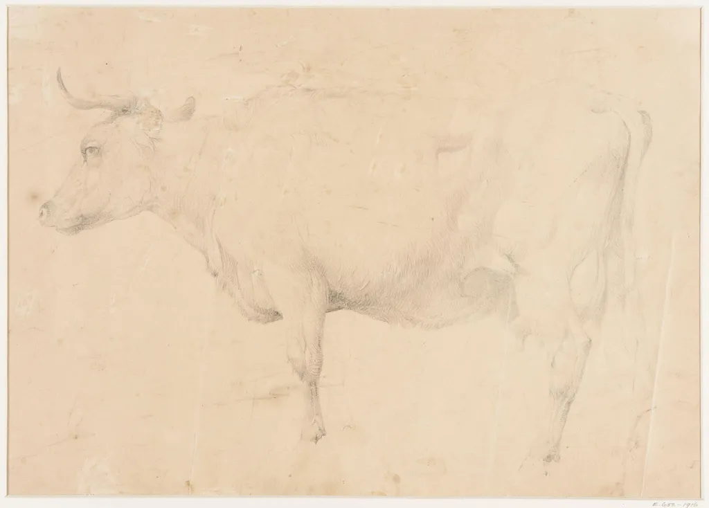 Study of a cow, by Thomas Sidney Cooper, 1850