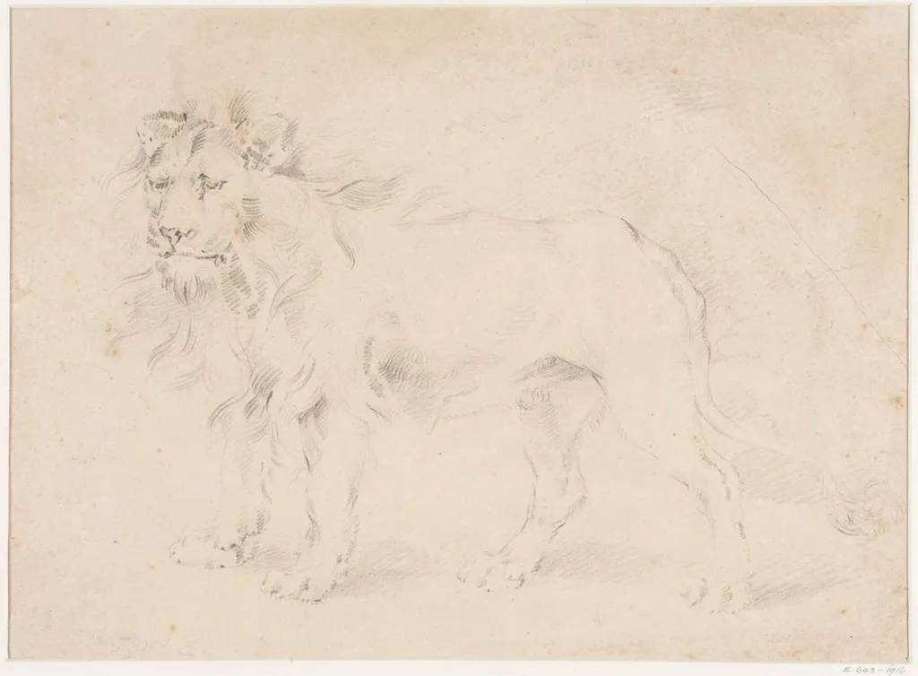 Study of a lion, by Thomas Sidney Cooper, 1850