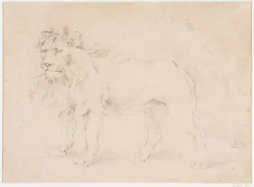 Study of a lion, by Thomas Sidney Cooper