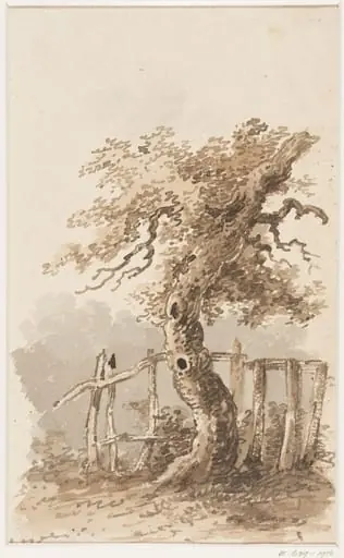 Study of trees, by Thomas Sidney Cooper