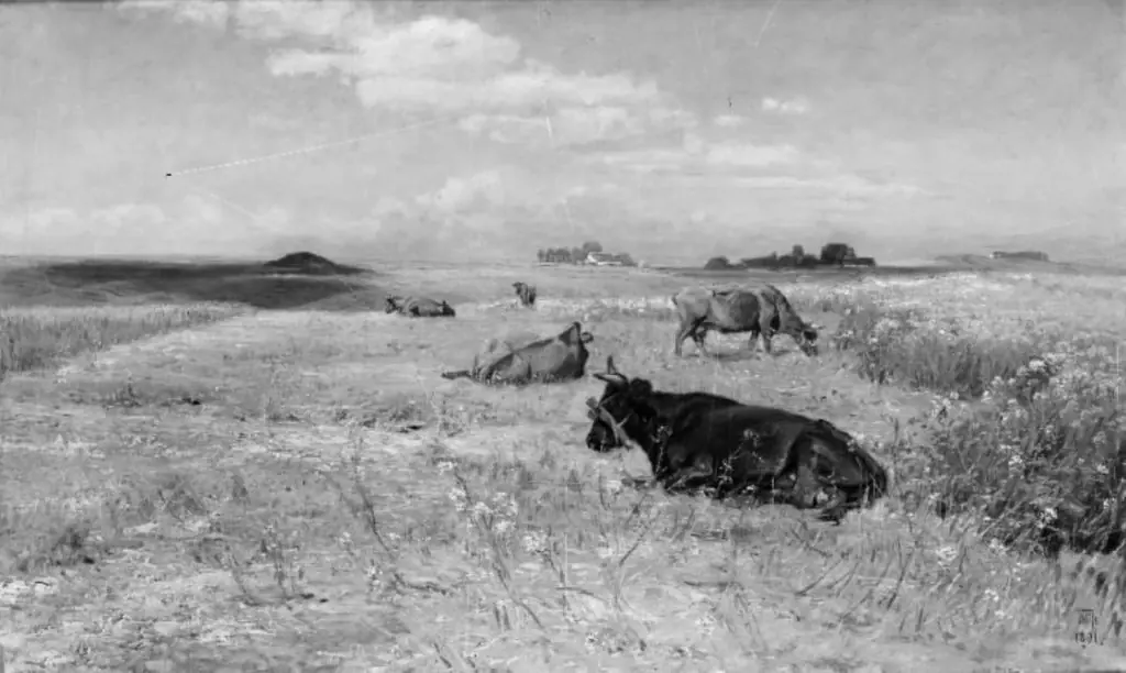 Køer på en mark, by Thorvald Niss