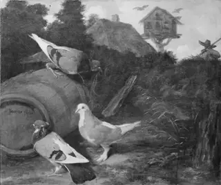 Three Pigeons