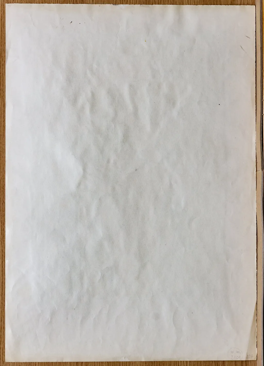 Doamnă cu pălărie, by Tiberiu Nicorescu