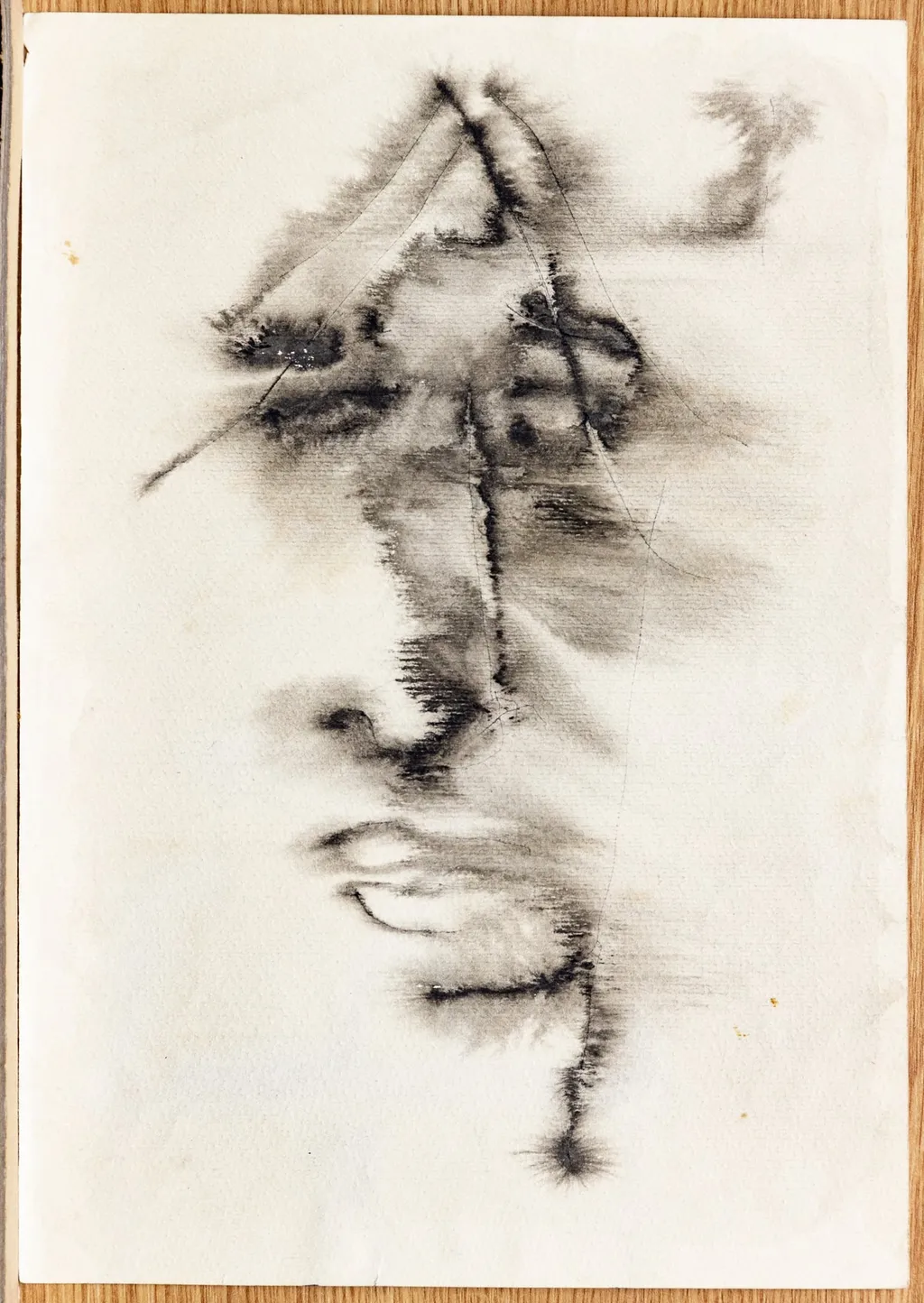 F: Portretul prietenei - schița VI, by Tiberiu Nicorescu
