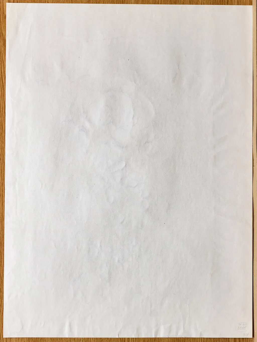 Femeie în haină de blană, by Tiberiu Nicorescu, unspecified