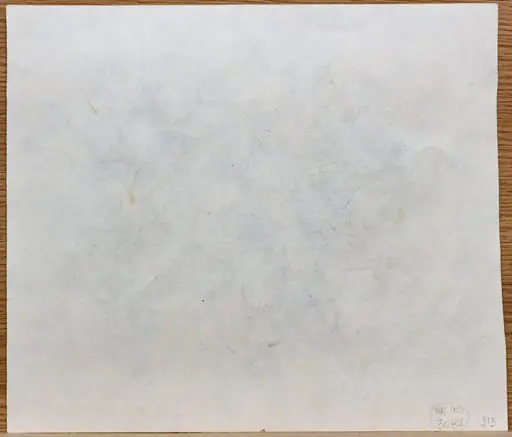 Femeie la fereastră, by Tiberiu Nicorescu
