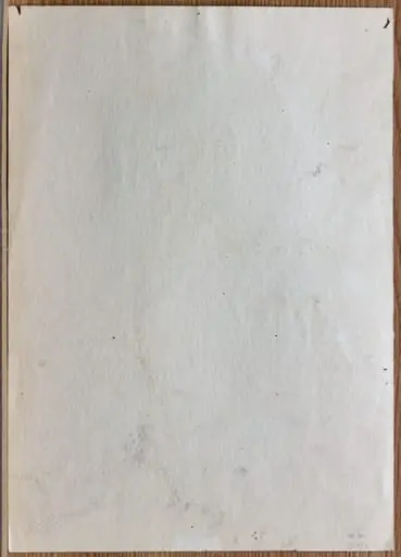 Portretul prietenei - schița I, by Tiberiu Nicorescu