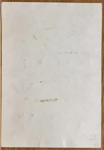 Prăbușirea demiurgului, by Tiberiu Nicorescu