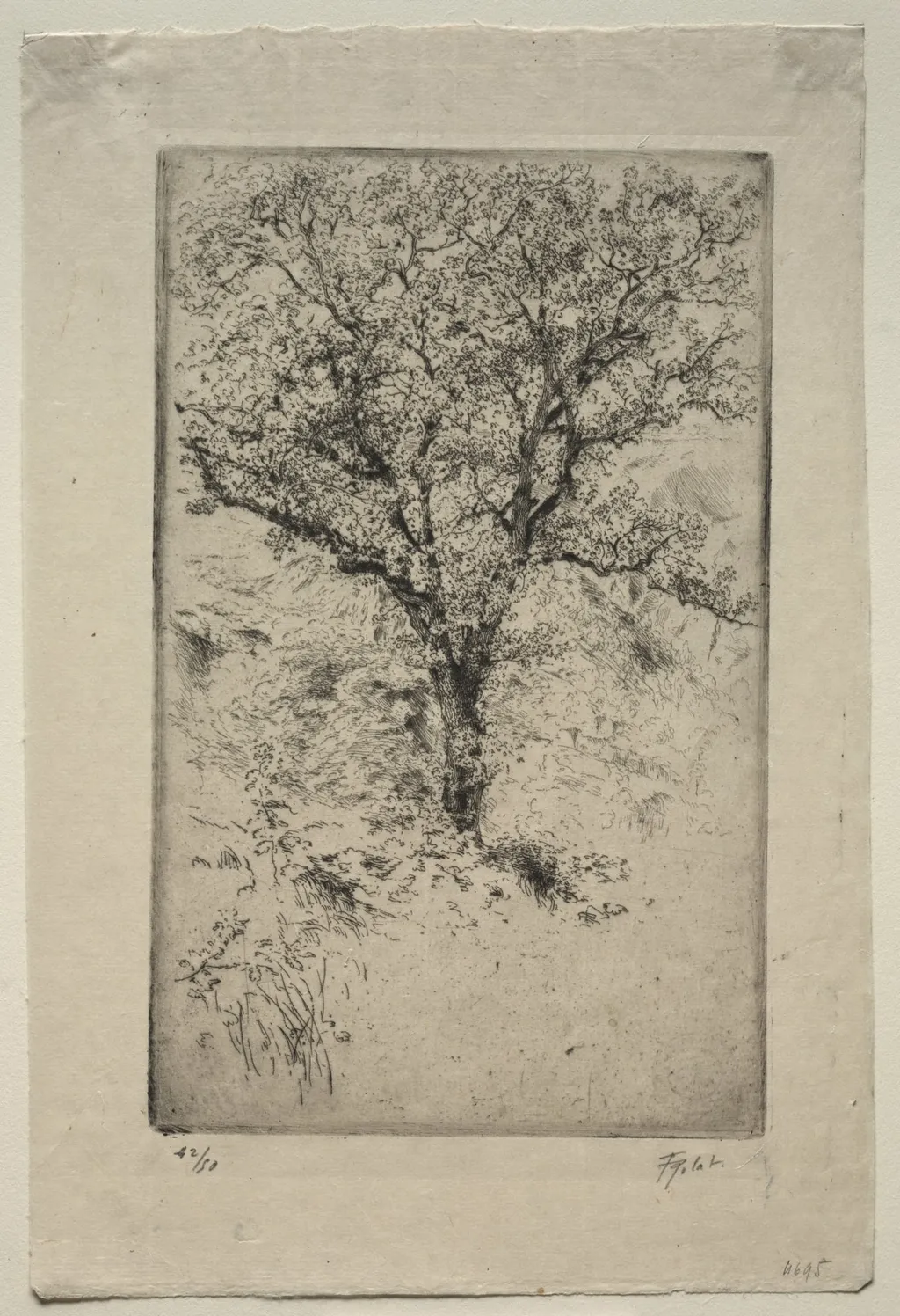 The Great Oak Tree, Monte Oliveto, by Tigrane Polat, 1900