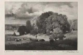 Autumn Oaks