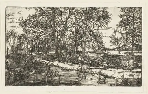Untitled, by Timothy West