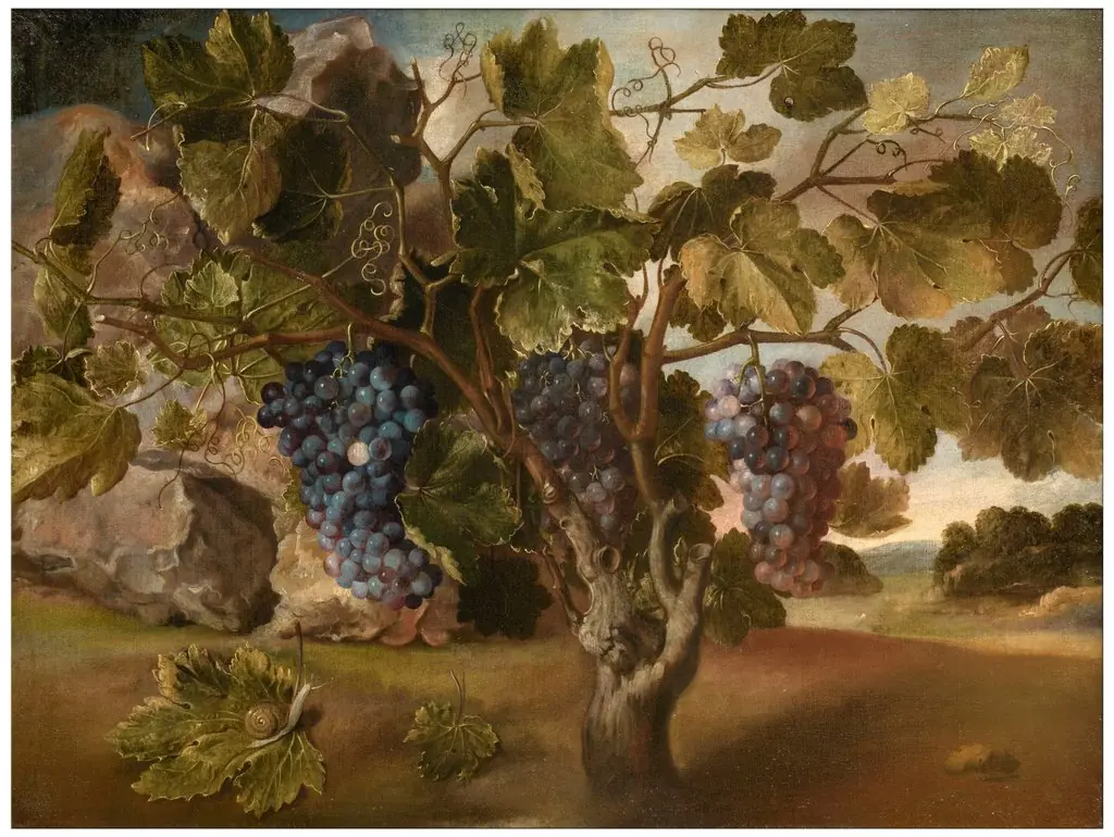 Landscape with a Vine