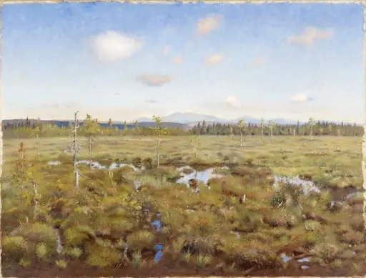 Maisema Lapista, by Torsten Wasastjerna
