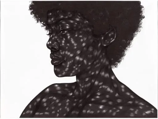 Untitled, by Toyin Ojih Odutola